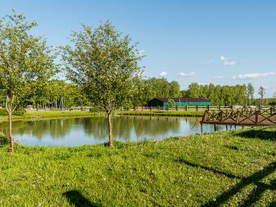 Фото отеля