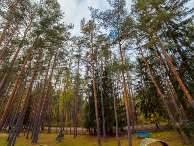Фото отеля