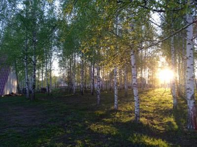 Фото номера отеля