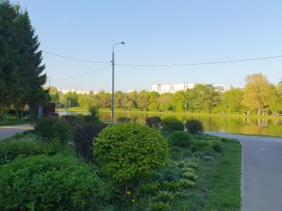 Фото номера отеля