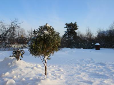 Фото отеля