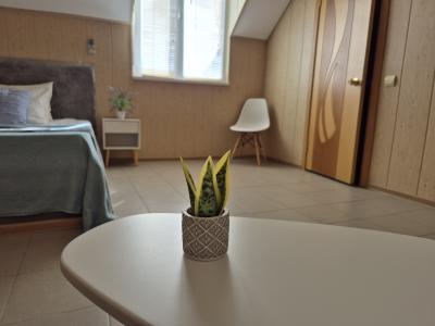 Фото номера отеля