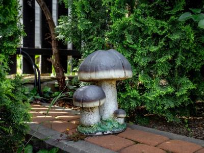 Фото номера отеля