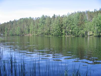 Фото отеля