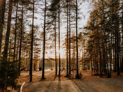 Фото отеля