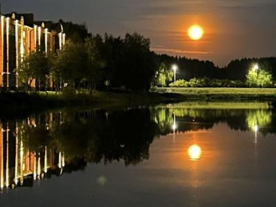Фото номера отеля