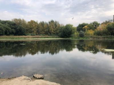 Фото отеля