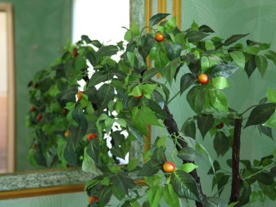 Фото отеля