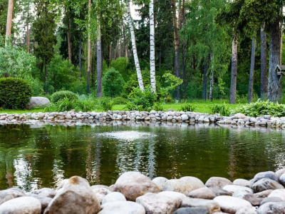 Фото отеля