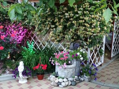 Фото отеля