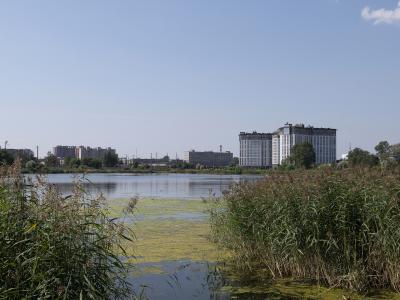 Фото номера отеля
