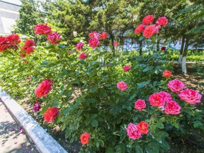Фото отеля