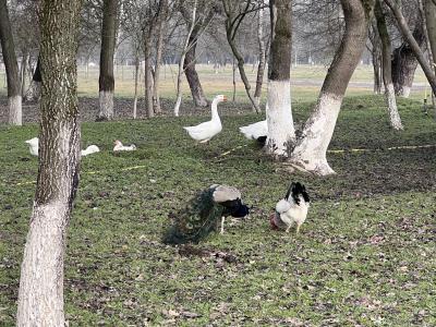 Фото отеля