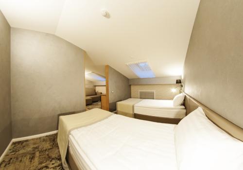 2-местный номер стандарт (мансарда)