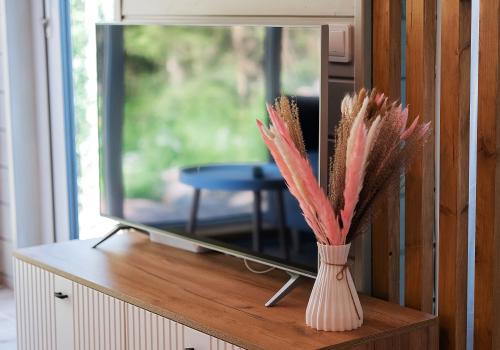 Фото Ёлки Чилл