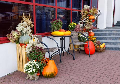 Фото IT Time Hotel