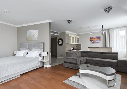 Номер студия премиум с 1 двуспальной кроватью