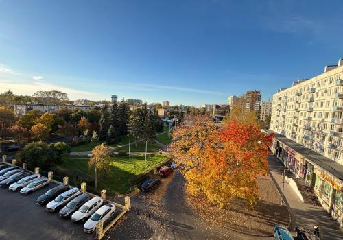 1-местный номер стандарт