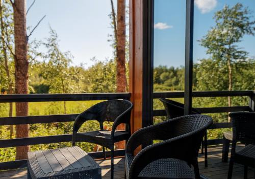 Фото Ёлки Чилл