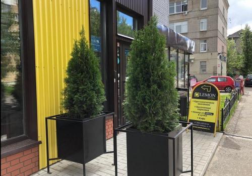 Фото Lemon Loft