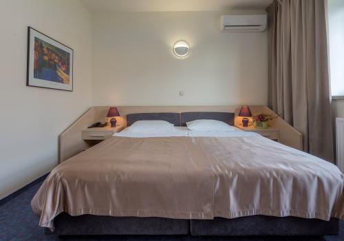 Номер стандарт комфорт с 1 двуспальной кроватью