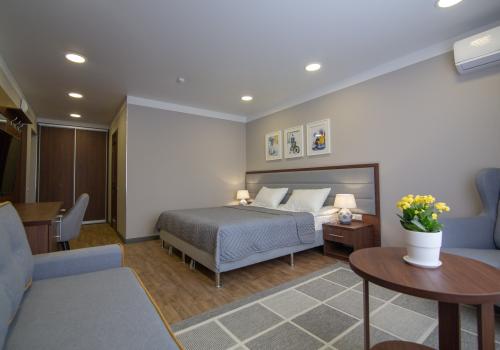 Номер полулюкс с 1 двуспальной кроватью