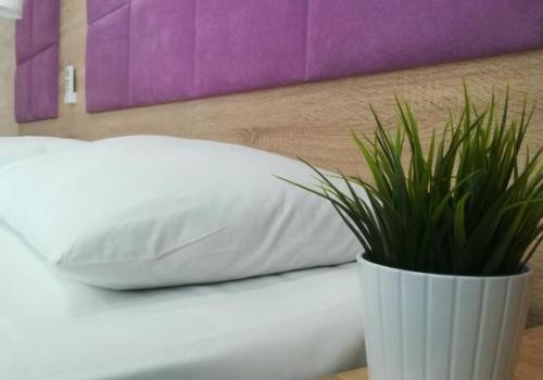 Фото Отель Амосов