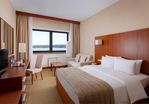 Номер стандарт с 1 двуспальной кроватью queen-size и видом на Волгу