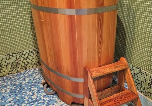 Фото Алеша Попович Двор