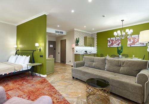 Номер студия премиум с 1 двуспальной кроватью