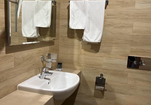 Фото Green Park Conference & Spa Hotel