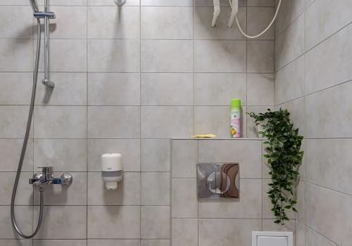 Фото Гостиница На Цветном