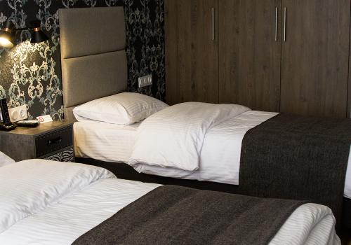 Номер делюкс с 2 односпальными кроватями