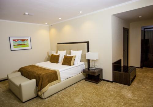 Номер студия премиум с 1 двуспальной кроватью