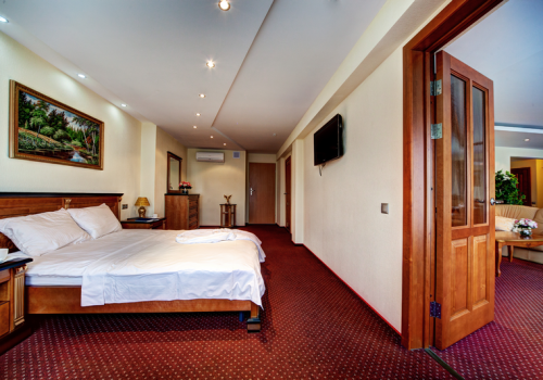 3-комнатный номер люкс с 1 двуспальной кроватью