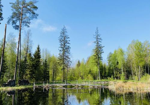 Фото Green Park Conference & Spa Hotel