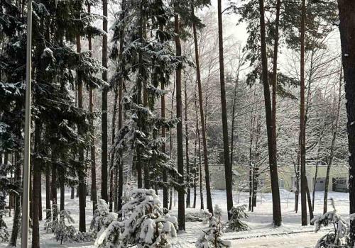 Фото Green Park Conference & Spa Hotel