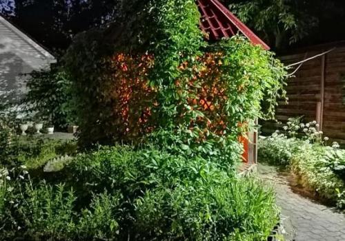 Фото Отель Четыре короны