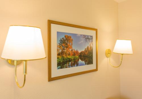 Номер люкс с 1 двуспальной кроватью