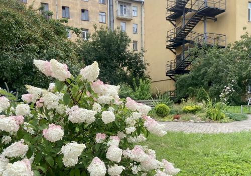 Фото отеля 4