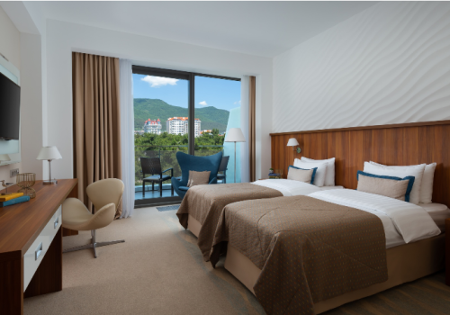 Номер делюкс с видом на горы