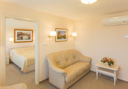 Номер люкс с 1 двуспальной кроватью