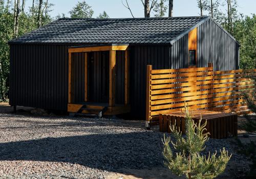 Фото Ёлки Чилл