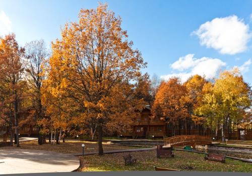 Фото Отель Русская Деревня