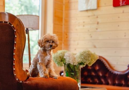 Фото Эко Парк Тепло