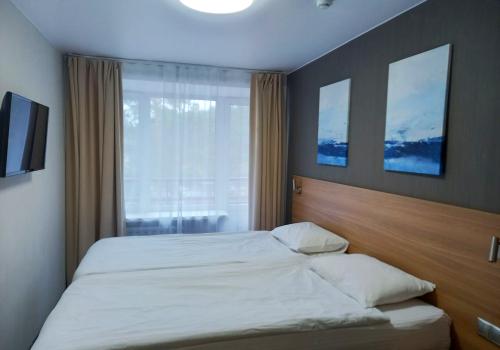 2-местный номер стандарт АМАКС