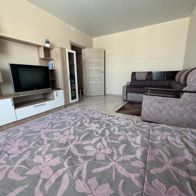 Cozy apartment on Krasny Avenue 307