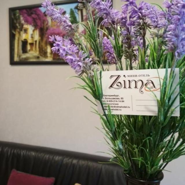 Zima