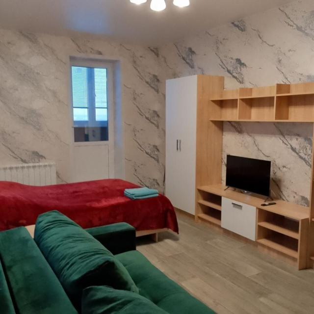 Apartments on Petrova street 50