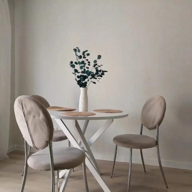 Bright apartment in the city center